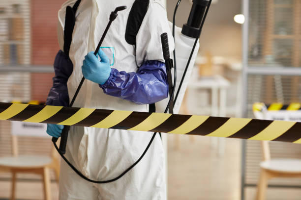 Professional Sewage Cleanup technician working in Twin Bridges, CA